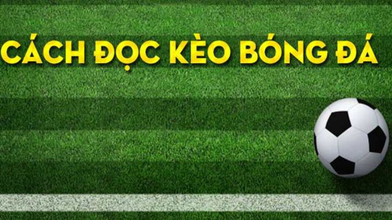 Bí quyết cách đọc kèo bóng đá dễ dàng như chuyên gia